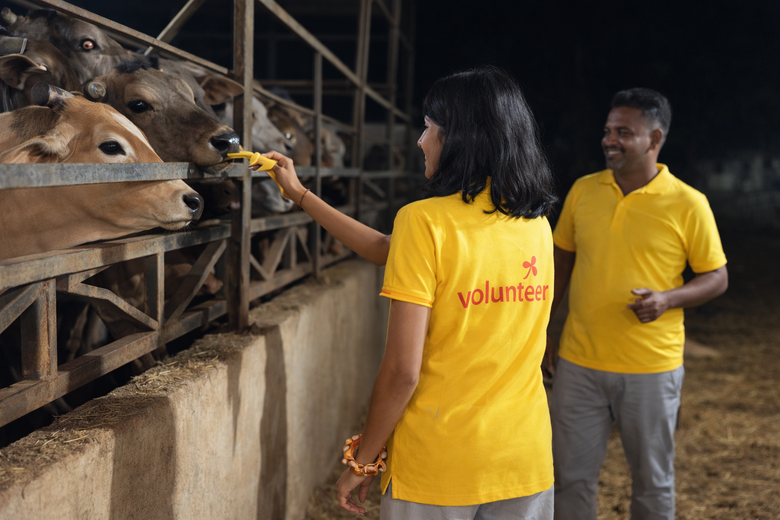 5bf44b20-1926-4919-9cef-d13855217b84