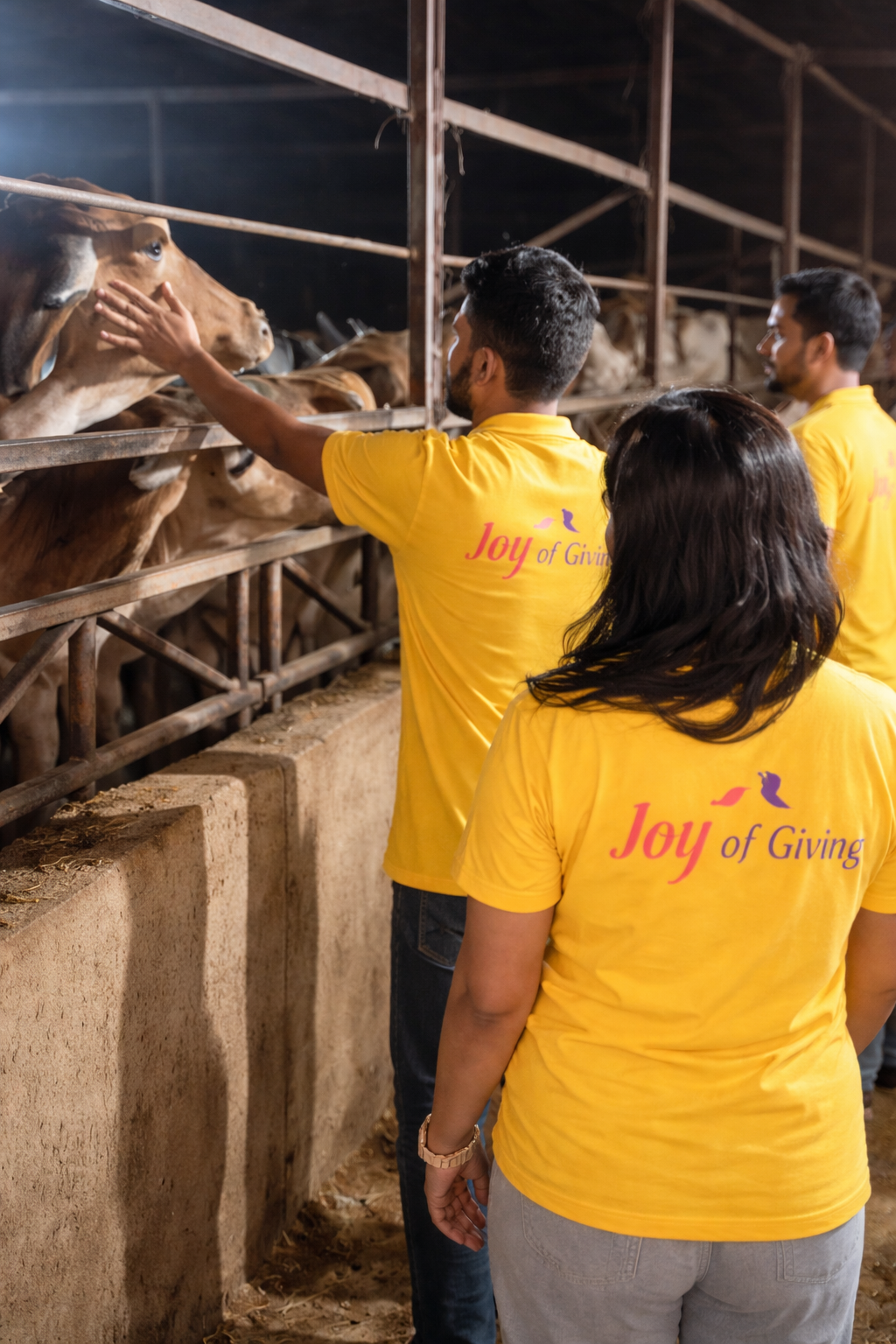 6b762786-125c-4c12-89b8-69cccefe2f80