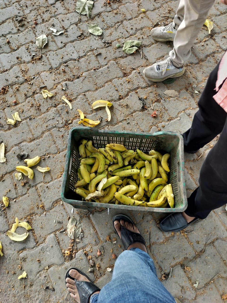 WhatsApp Image 2025-10-17 at 9.44.25 AM