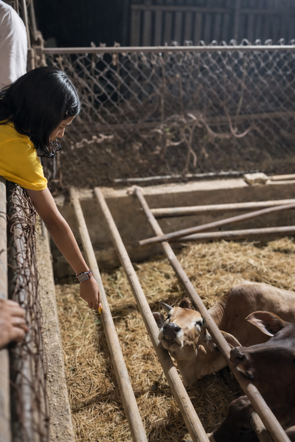 b29b3340-1113-4053-828e-54aa0e7e2a32